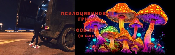 СК Михайловск