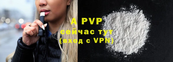 гашик Михайлов