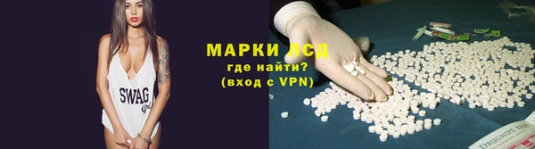 гашик Михайлов
