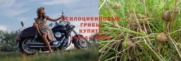 амф Алексеевка