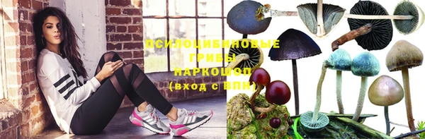 амф Алексеевка