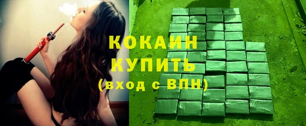 соль ск Алзамай
