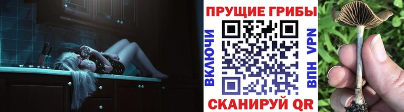 Галлюциногенные грибы прущие грибы  Сосенский 